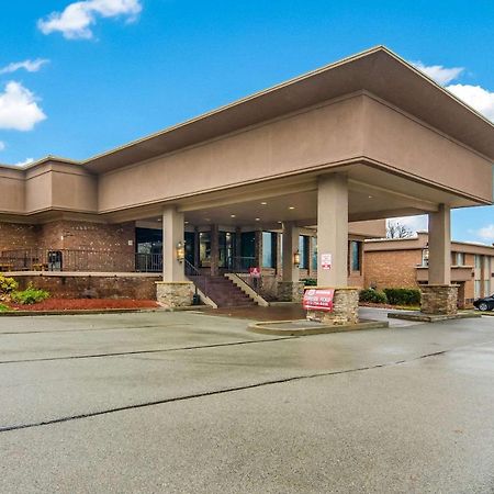 Comfort Inn & Suites Montrose Hill Exterior foto