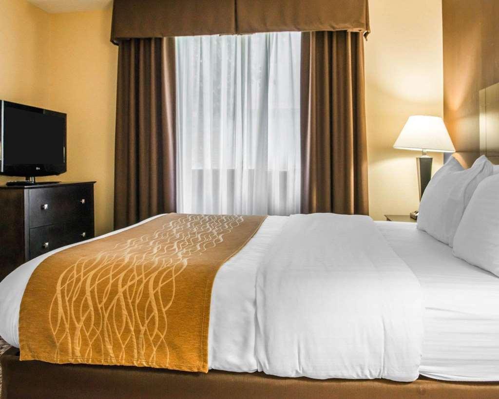 Comfort Inn & Suites Montrose Hill Habitación foto